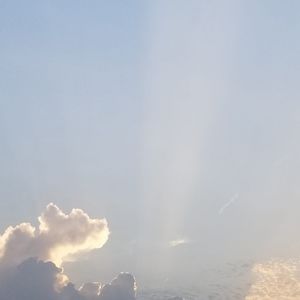 Meet your Posher, Cesar